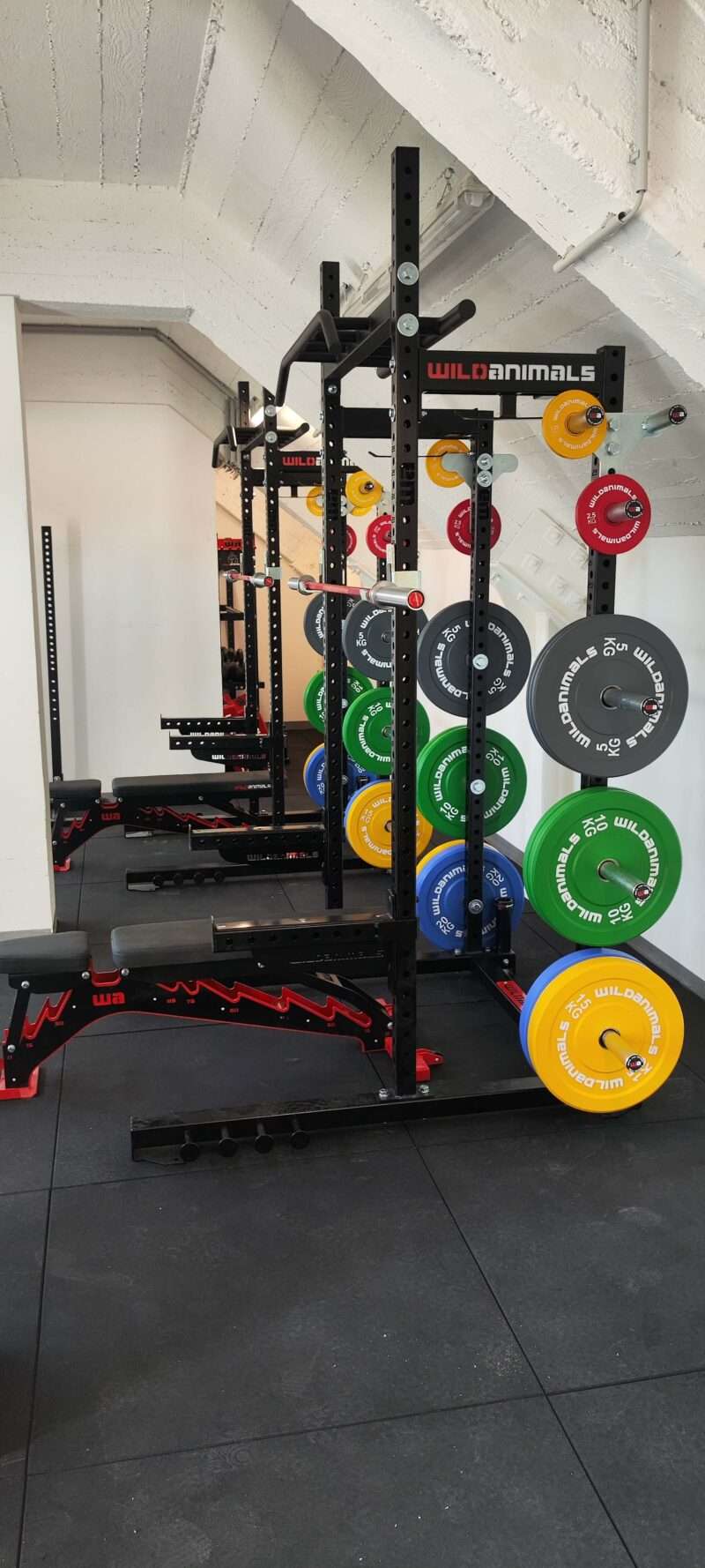Half Rack - Profi fél erőkeret