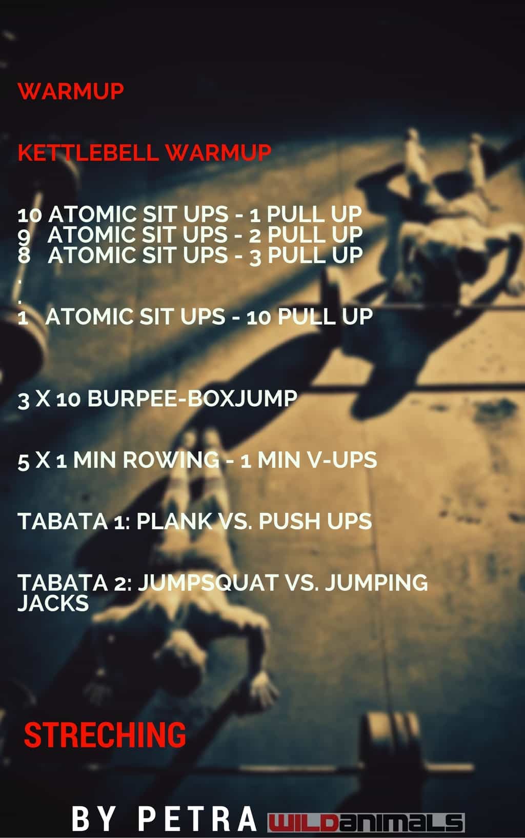 Atomic Sit UP, Kettlebell, burpee, plank, Sissy test, TABATA