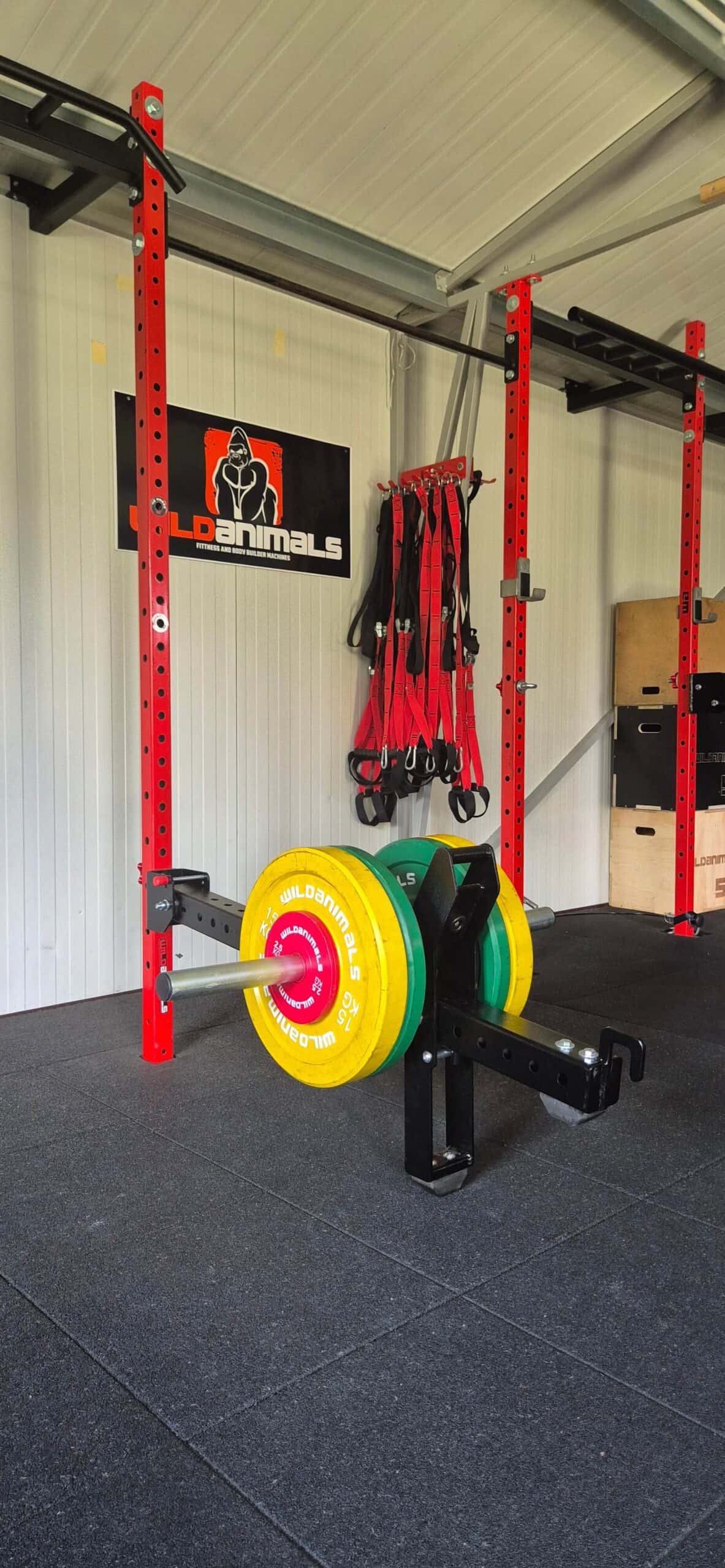 Tárcsasúlyos guggoló adapter - Image 5