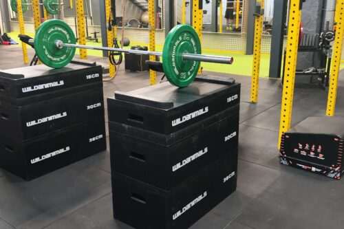 JERK BOX - súlyemelő tőke