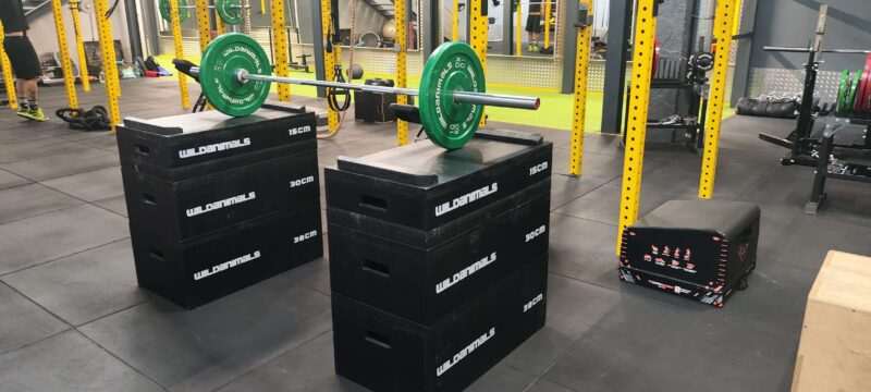 JERK BOX - súlyemelő tőke